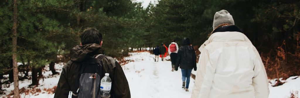 Groupe en balade dans la forêt en hiver